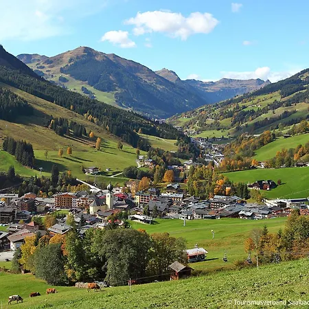 Lejlighed Schattberg By Interhome Saalbach-Hinterglemm